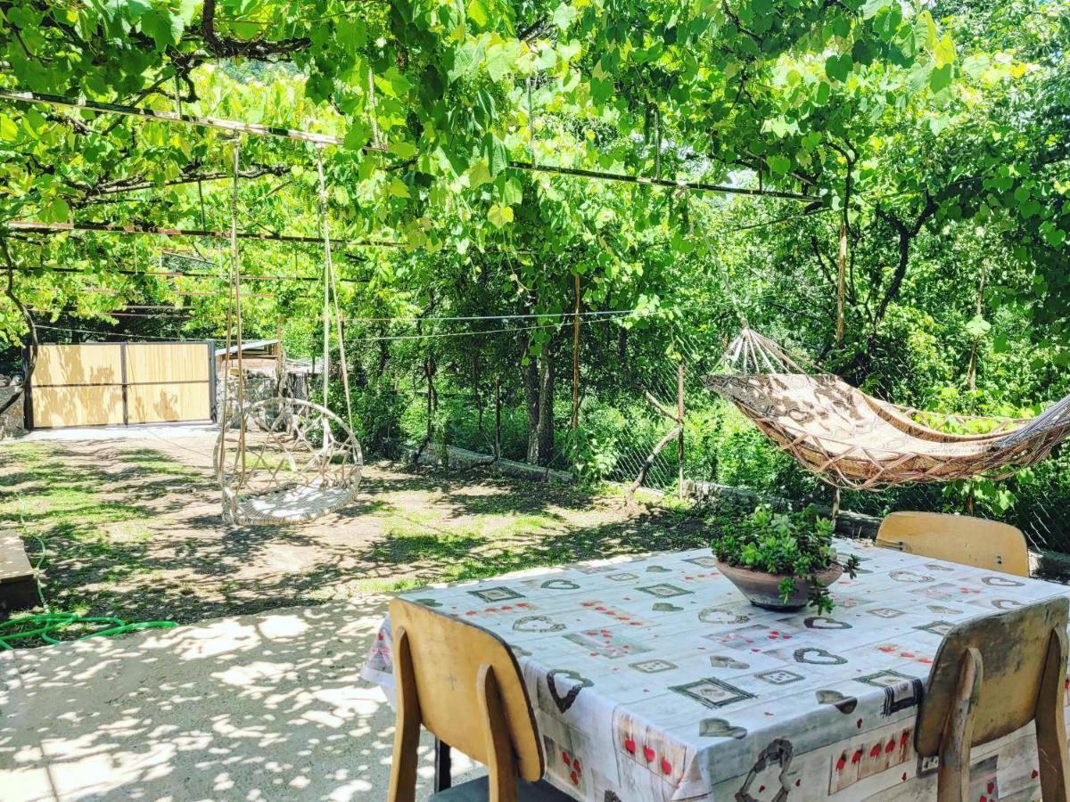 Family Hotel Mountain Panorama Borjomi Εξωτερικό φωτογραφία