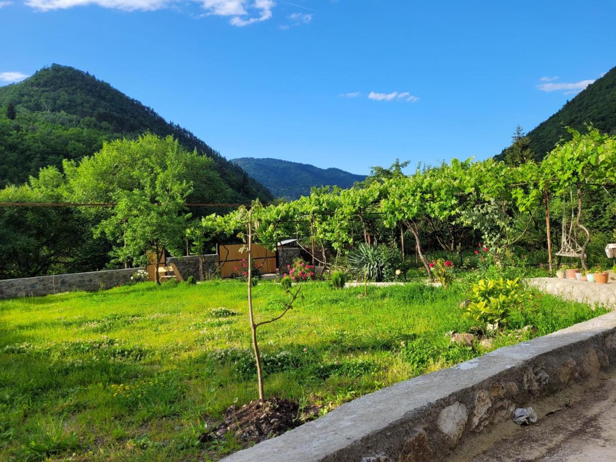 Family Hotel Mountain Panorama Borjomi Εξωτερικό φωτογραφία