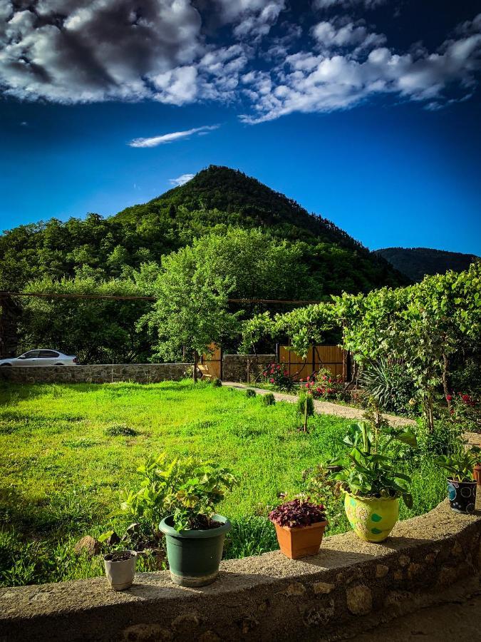 Family Hotel Mountain Panorama Borjomi Εξωτερικό φωτογραφία