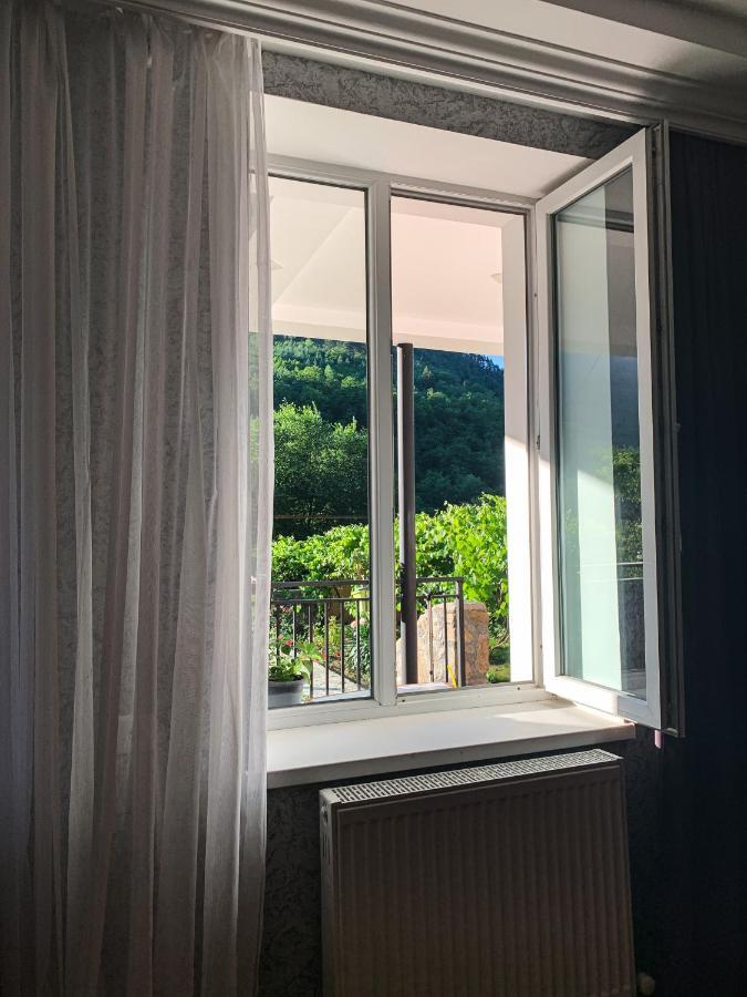 Family Hotel Mountain Panorama Borjomi Εξωτερικό φωτογραφία