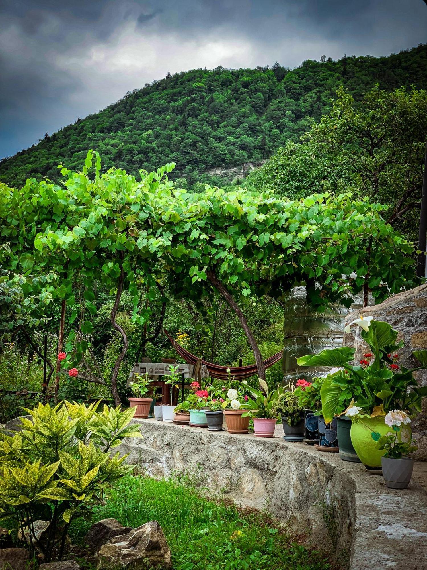 Family Hotel Mountain Panorama Borjomi Εξωτερικό φωτογραφία