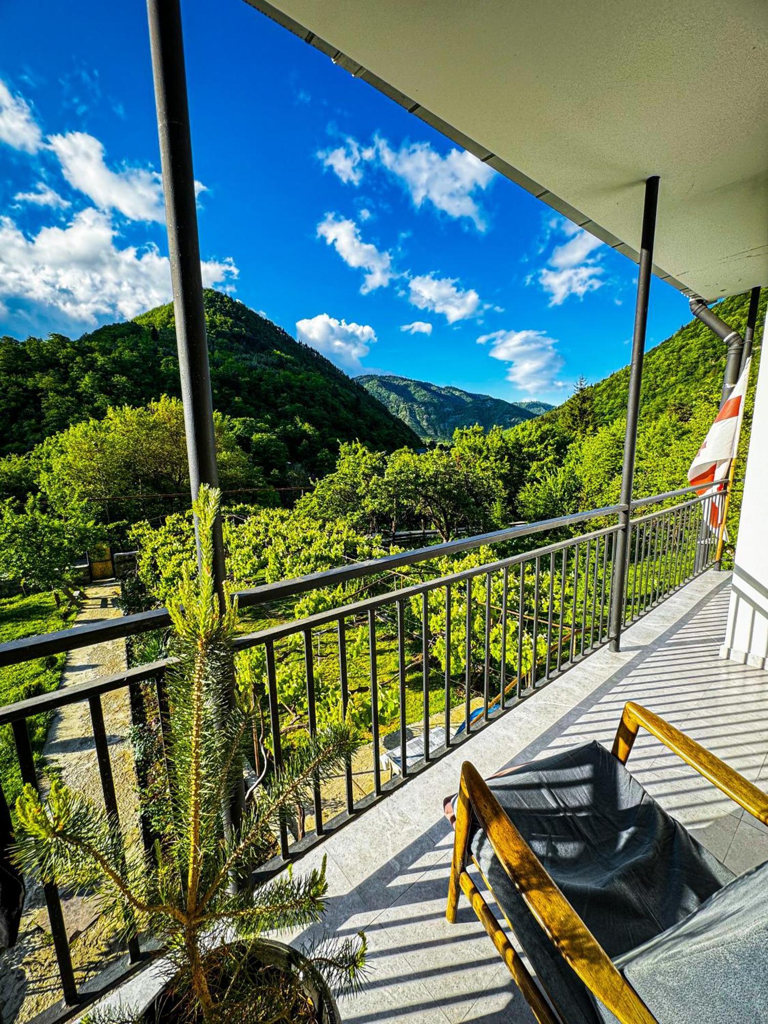 Family Hotel Mountain Panorama Borjomi Εξωτερικό φωτογραφία