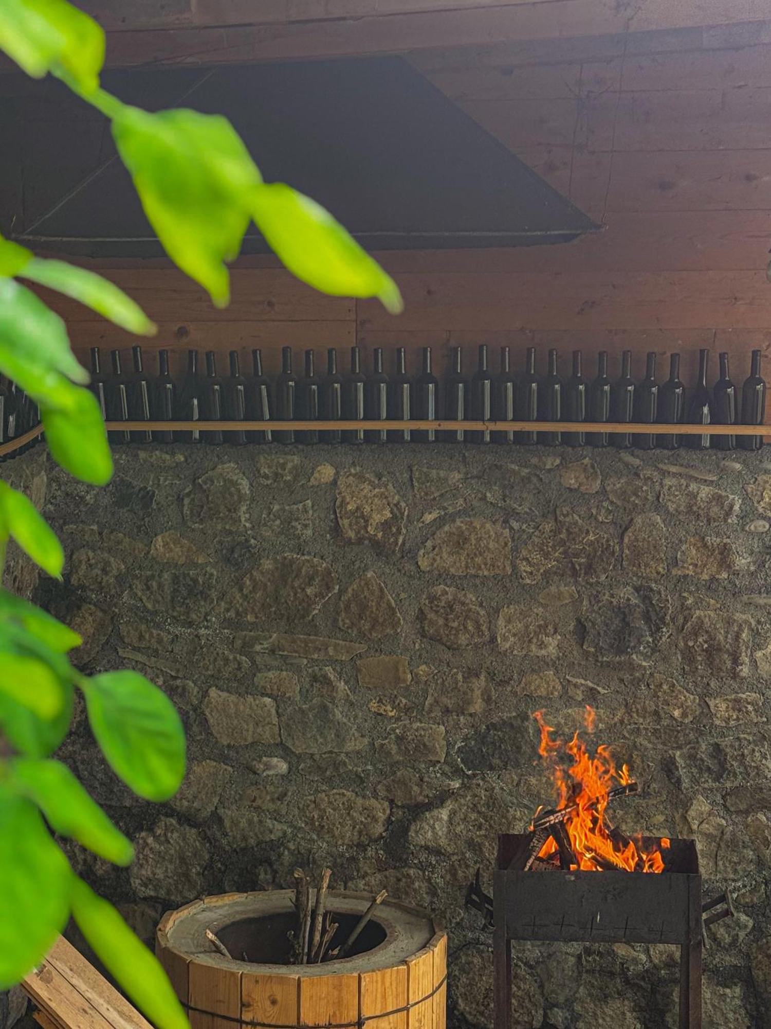 Family Hotel Mountain Panorama Borjomi Εξωτερικό φωτογραφία