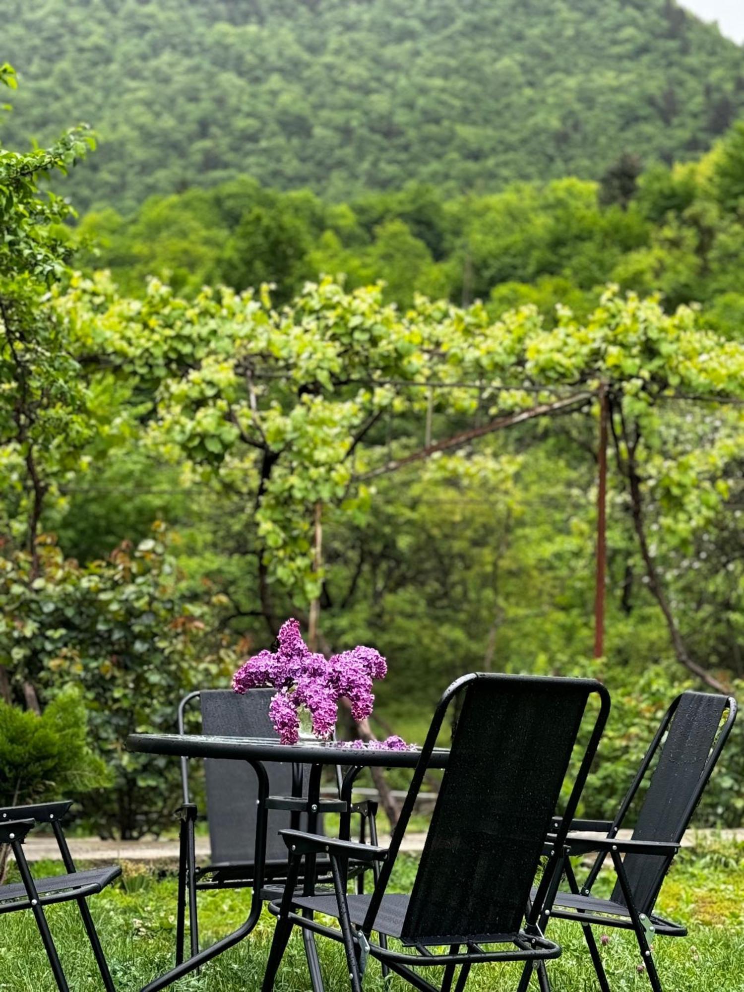 Family Hotel Mountain Panorama Borjomi Εξωτερικό φωτογραφία