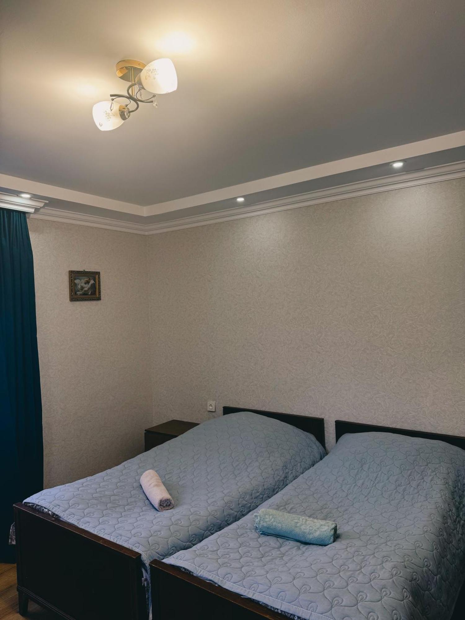 Family Hotel Mountain Panorama Borjomi Εξωτερικό φωτογραφία